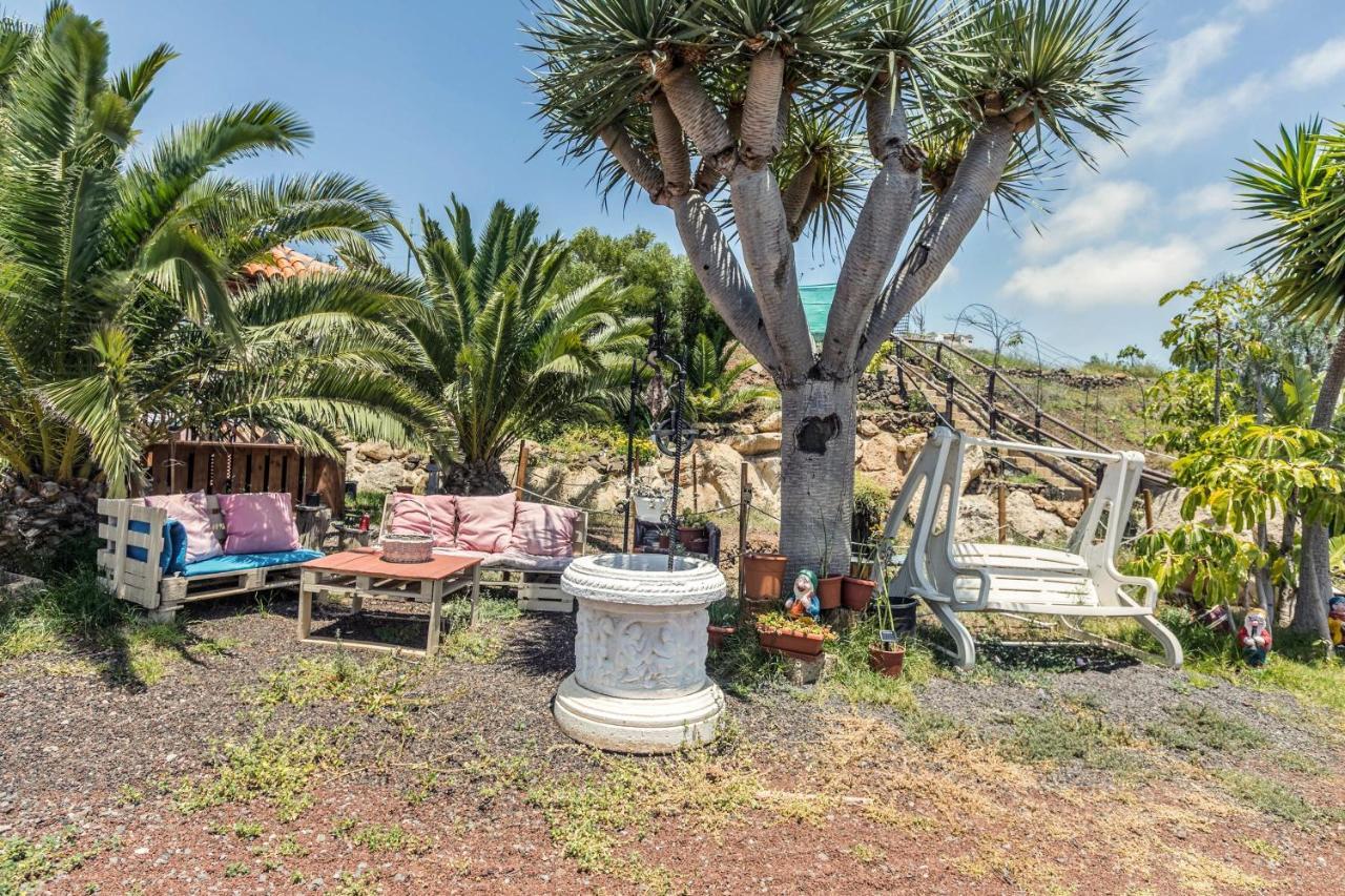 Buhardilla Armonia Rural Apartment Granadilla De Abona Exterior photo